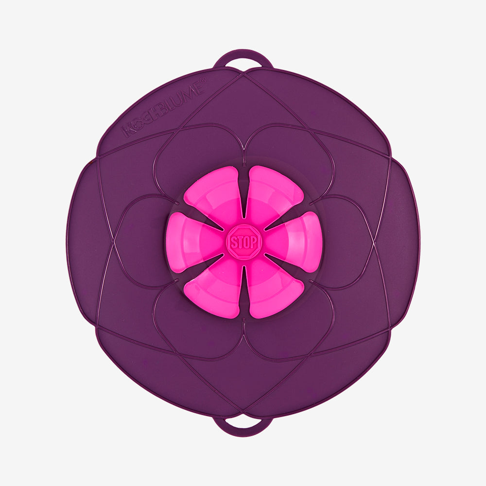 Kochblume låg lille lilla/pink