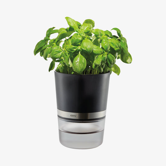Botanico herb pot