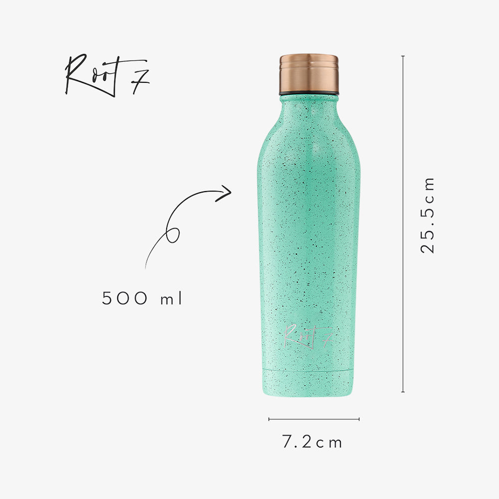 One Bottle Mint Choc Chip 0.5L