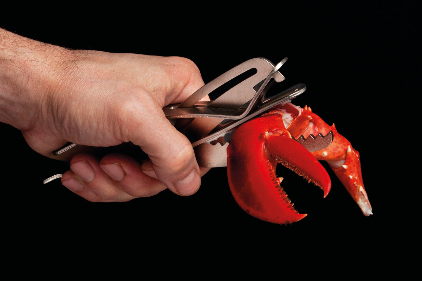 Caretta Skaldyrsknækker i stål