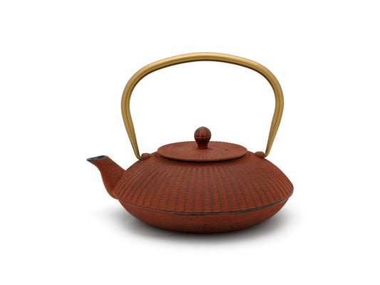 Teapot Linhai 1,1L cast iron brick