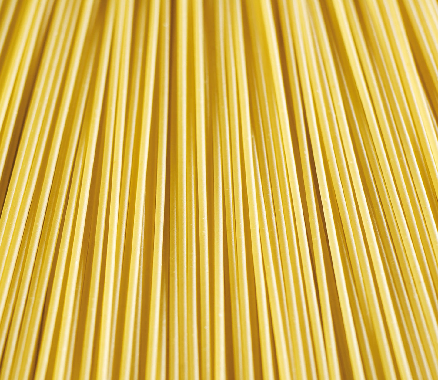 Pastas cutter for spaghetti